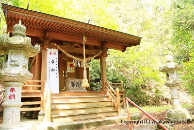 名刺用写真撮影