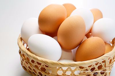 観光ガイドパンフレットt用　商品撮影