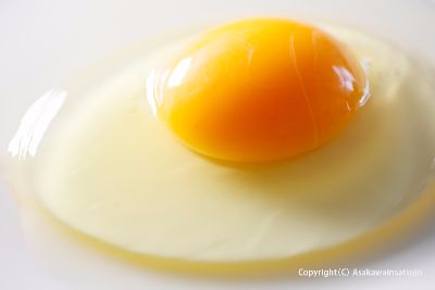 観光ガイド用　商品撮影